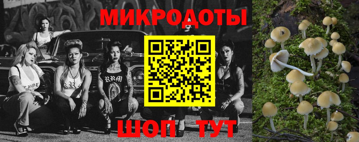 Галлюциногенные грибы прущие грибы  Вход с VPN  Урус-Мартан  Псилоцибиновые грибы прущие грибы 